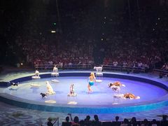 -珠海横琴长隆《卡卡虎奇遇记》