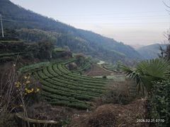 -杨家堂村