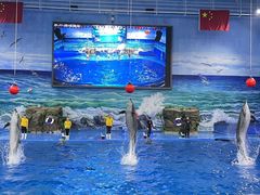 -多彩贵州城极地海洋世界