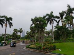 -棕榈泉国际高尔夫学院