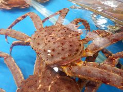-盒马鲜生(悦峰店)