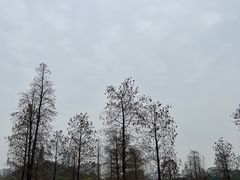 -顺峰山公园