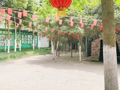 -勇士之星真人CS·团建·拓展(清水河公园店)