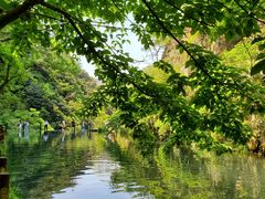 -溪口-滕头旅游景区