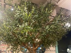 -Wagas沃歌斯(环贸店)