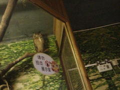 android_upload_pic-上海大自然野生昆虫馆
