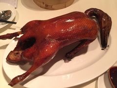 -東海海鲜酒家(中信广场店)