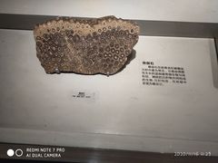 -长江文明馆