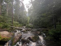 -汤旺河林海奇石景区