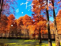 -青山湖景区