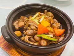 -千灯盛汇·头牌粤菜(致越优城店)