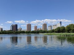 -莲花池公园