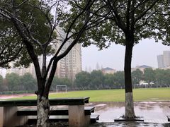 -上海市实验学校