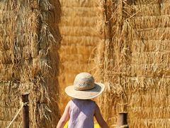 -中国天府农业博览园