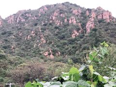 -大岭沟猕猴桃谷风景区