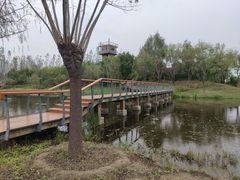 -东郊湿地公园