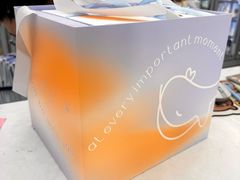 -山与蓝·轻糖鲜果蛋糕(勒泰店)
