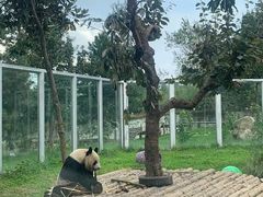 -西安秦岭野生动物园