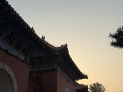 -北陵公园
