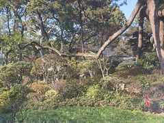 -浙江西子宾馆·瑶园咖啡厅