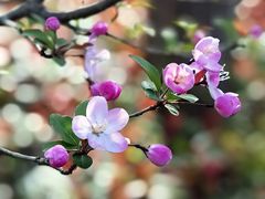 -上海怡沁园度假酒店