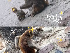 -郑州市动物园
