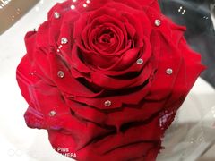 -ROSEONLY诺誓(沈阳万象城店)