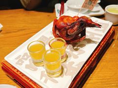 -大鸽饭(动物园店)