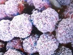 -港华水果街(港华广场店)