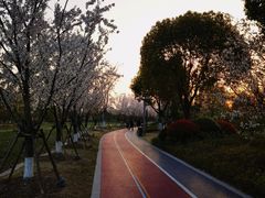 -澹台湖公园