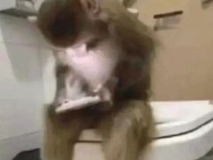 -楚成谷鸭馆(裕民店)