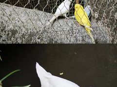 -青青世界