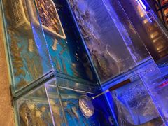 -扬州万怡酒店-中餐厅(文昌中路店)