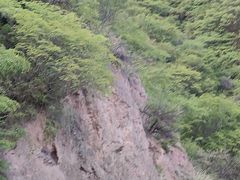 -崆峒山景区