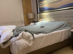 -长沙富力万达文华酒店