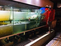 -竹林小屋(库塔店)