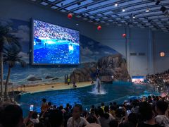 -福州罗源湾海洋世界旅游区