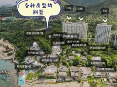 -巽寮湾