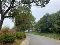 -敬亭山风景名胜区