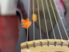 -禅韵琴社 古琴茶道香道插花培训(西华门店)