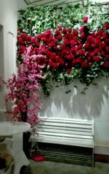 点击看大图 -戛纳印象摄影(潮拍定制馆)