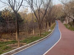 -滨河世纪广场公园