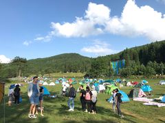 -武陵山森林公园