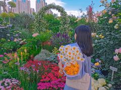 -白鹭湾湿地公园