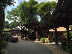 -新加坡飞禽公园