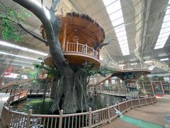 -南宫五洲植物乐园