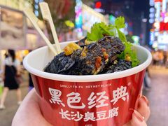 -黑色经典臭豆腐·湖南特产(坡子街特产局店)