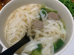 -MR鹅外