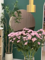 -水沐莲清瑜伽·普拉提