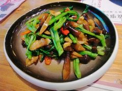 鸡枞菌-胡桃里乐队酒馆(大庆店)